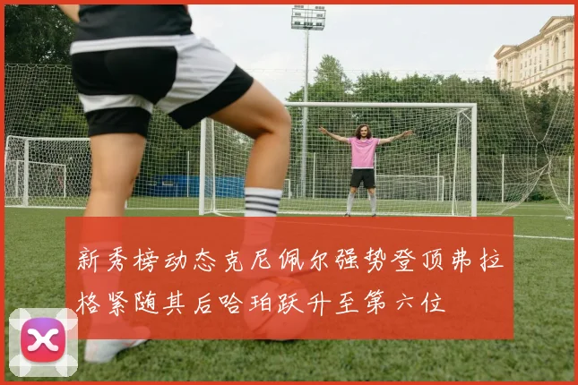 新秀榜动态克尼佩尔强势登顶弗拉格紧随其后哈珀跃升至第六位