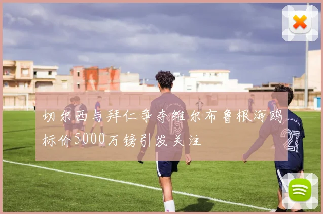 切尔西与拜仁争夺维尔布鲁根海鸥标价5000万镑引发关注
