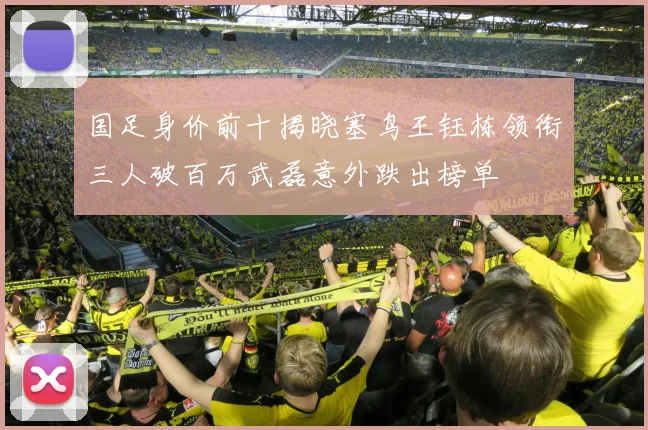 国足身价前十揭晓塞鸟王钰栋领衔三人破百万武磊意外跌出榜单